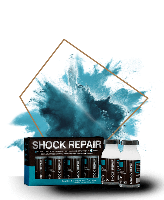 Shock Repair Truss